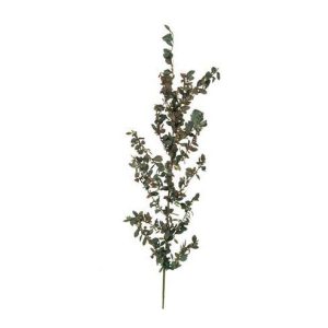 1274055-complementos-para-belén-vegetación-rama