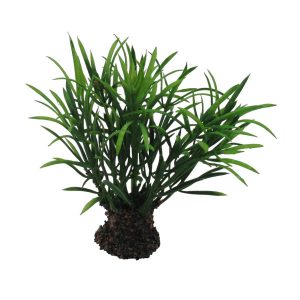 PL12-complementos-para-belén-vegetación