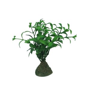 PL17-complementos-para-belén-vegetación
