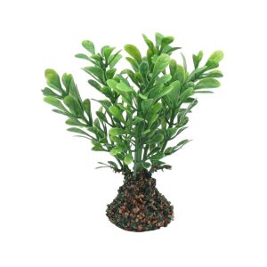PL31-complementos-para-belén-vegetación