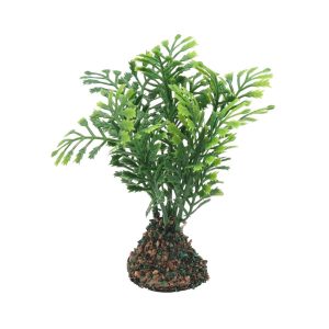 PL34-complementos-para-belén-vegetación