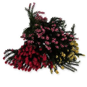 6204-complementos-para-belén-vegetación-flores-7cm