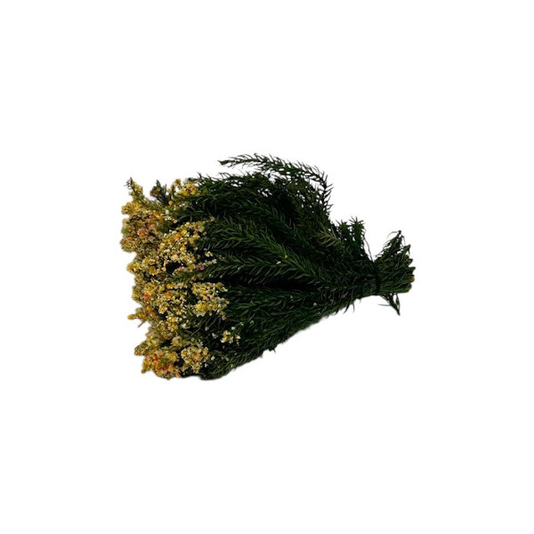 6204-2-complementos-para-belén-vegetación-flores-7cm