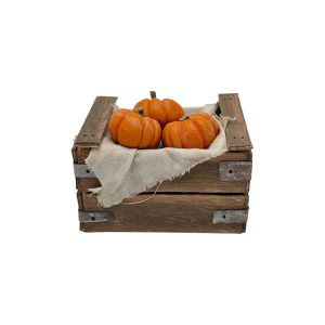 CCC12001-complementos-para-belén-miniaturas-cajon-calabazas-14-30cm